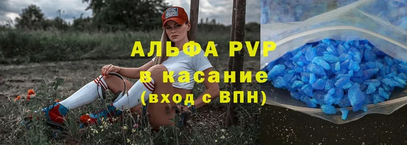 A PVP СК  Дмитров 